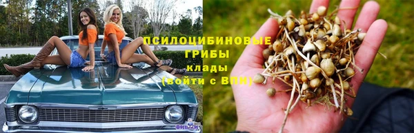 каннабис Арсеньев