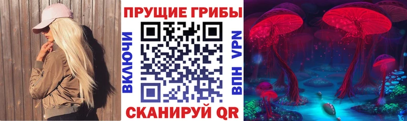 купить закладку  гидра онион  Псилоцибиновые грибы Cubensis  Нижний Ломов 